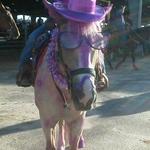 Cisco at Saddle up for the Cure day at Galveston County's Summer Series 